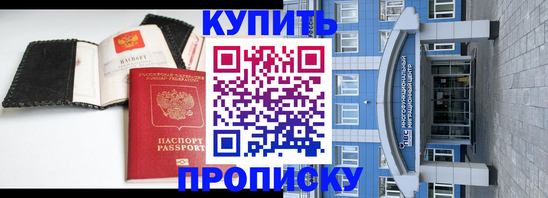 прописка гарантия в Пионерском